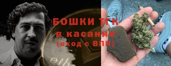 молекула духа Нягань