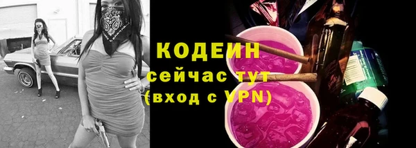 мдпв Нязепетровск